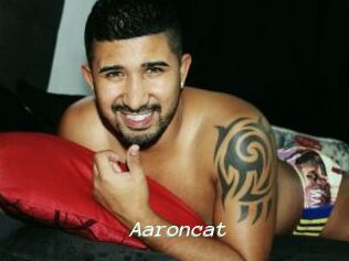 Aaroncat