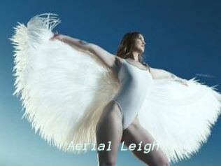 Aerial_Leigh