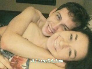 Alice_X_Adam