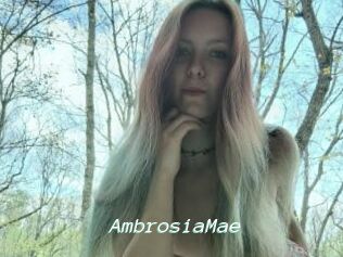 AmbrosiaMae