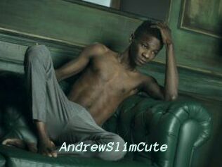 AndrewSlimCute