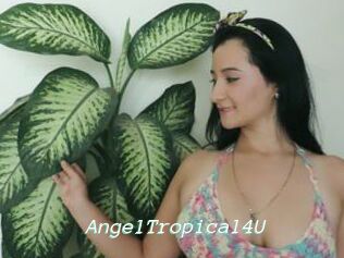 AngelTropical4U