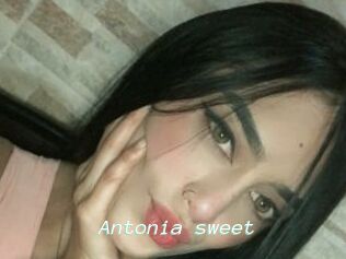 Antonia_sweet