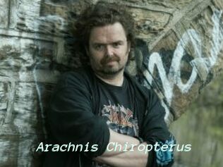 Arachnis_Chiropterus