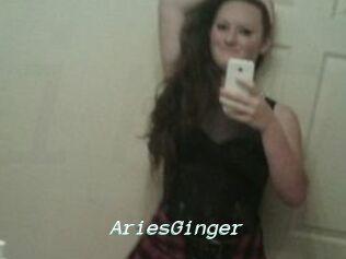 AriesGinger