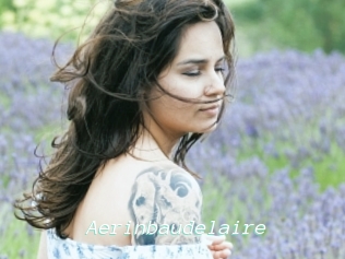 Aerinbaudelaire