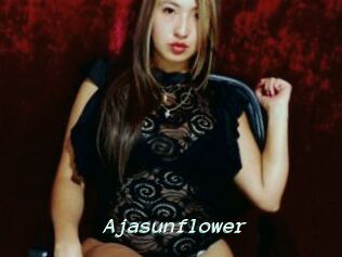 Ajasunflower