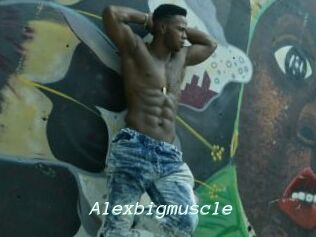 Alexbigmuscle