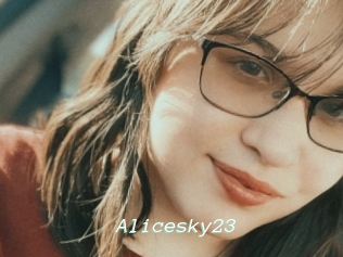 Alicesky23