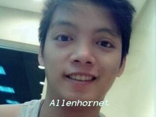 Allen_hornet