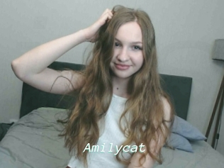 Amilycat