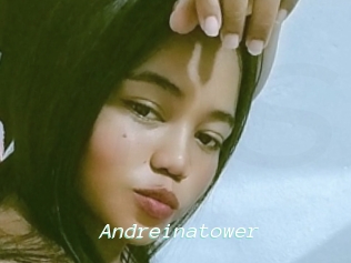 Andreinatower