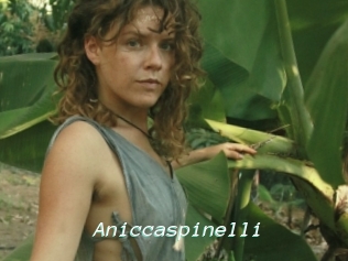 Aniccaspinelli