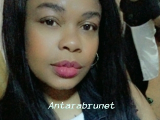 Antarabrunet