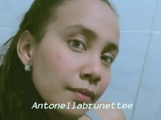 Antonellabrunettee