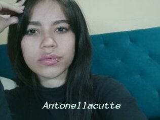 Antonellacutte