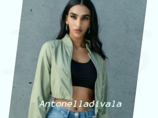 Antonelladivala