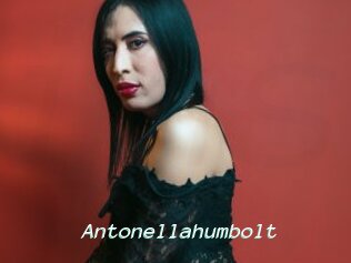 Antonellahumbolt