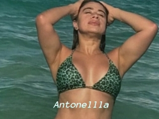 Antonellla