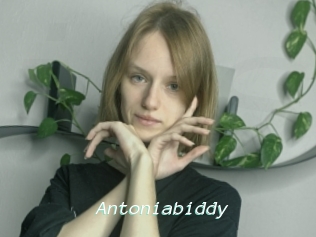 Antoniabiddy