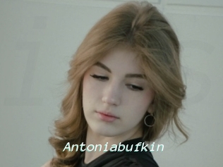 Antoniabufkin