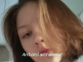 Antoniacrammer