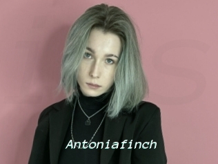 antoniafinch Insenses