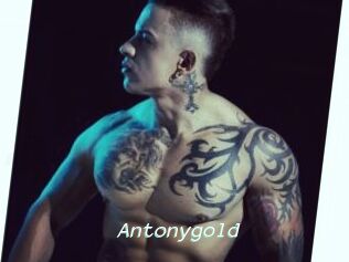 Antonygold