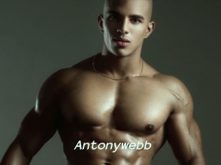 Antonywebb