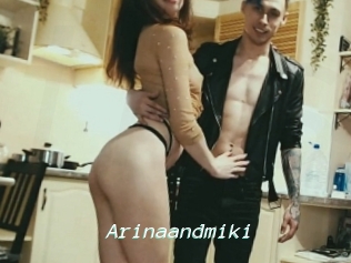 Arinaandmiki