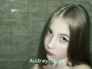Audreybagge