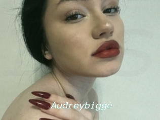 Audreybigge