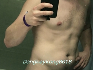 Dongkeykong0018