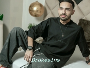 Drakesins