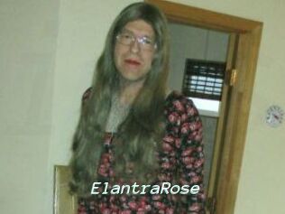 Elantra_Rose