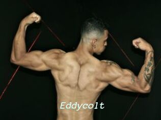 Eddycolt