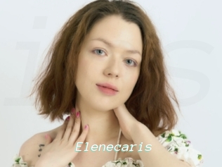 Elenecaris