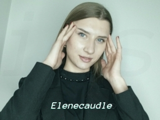 Elenecaudle