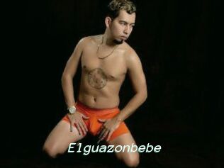 Elguazonbebe