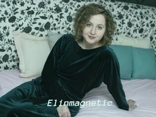 Elinmagnetic