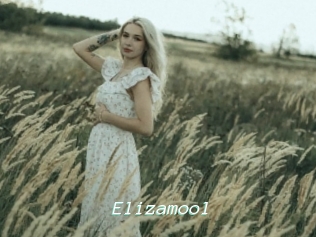 Elizamool