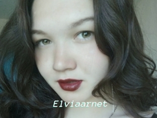 Elviaarnet