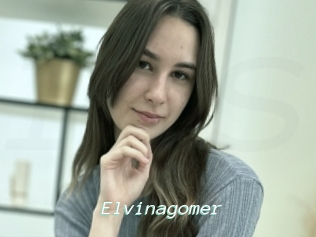 Elvinagomer