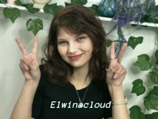 Elwinacloud