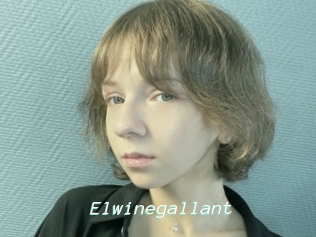 Elwinegallant