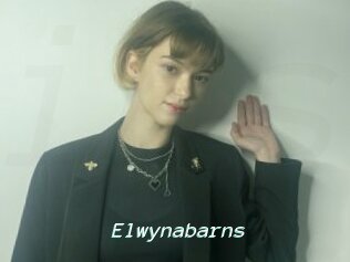 Elwynabarns