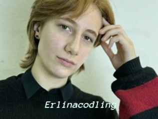 Erlinacodling