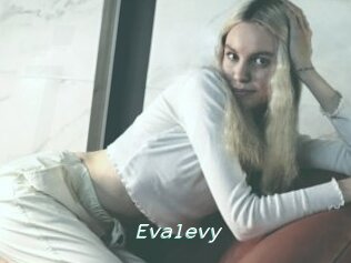 Evalevy