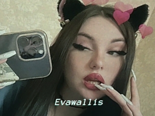 Evawallis