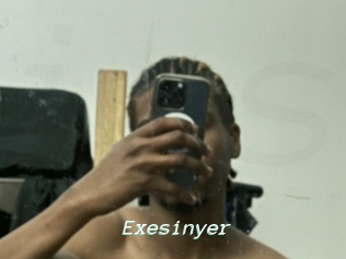 Exesinyer